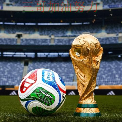 世界杯买球网站哪个好？真实体验带你了解（2026世界杯）